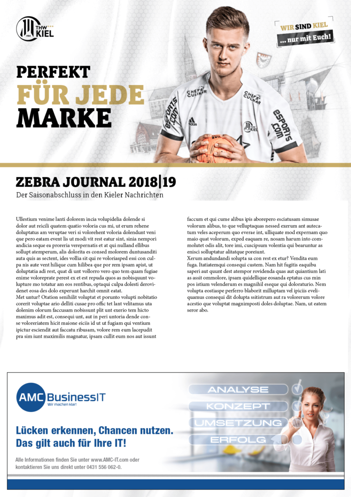 Anzeige Layout Handball IT-Firma Zeitung